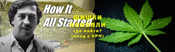 хмурый Арсеньев