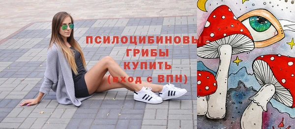 мдпв Армянск
