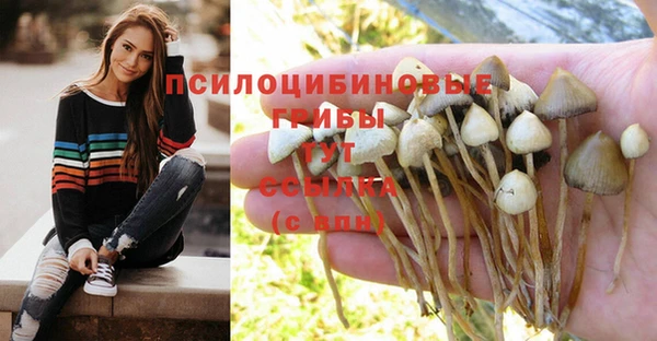 хмурый Арсеньев