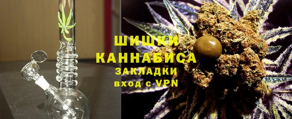 хмурый Арсеньев