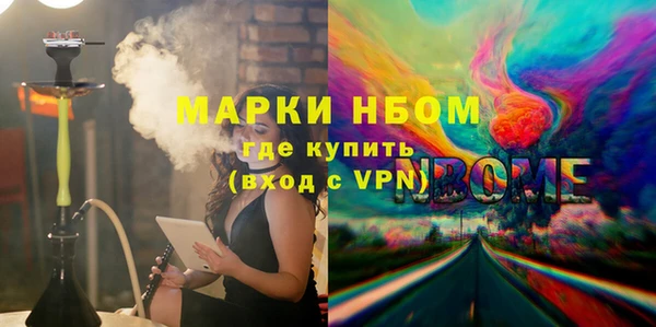 хмурый Арсеньев