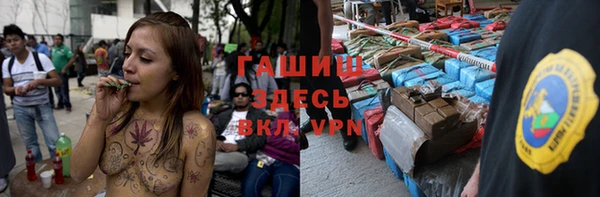 хмурый Арсеньев