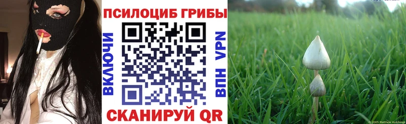 OMG онион  Меленки  Галлюциногенные грибы Cubensis  сколько стоит 